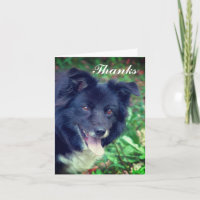 Bordure Collie souriant mignon Carte de remercieme