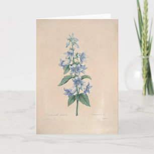 Remerciements Campanula par la carte de sympathie botanique de