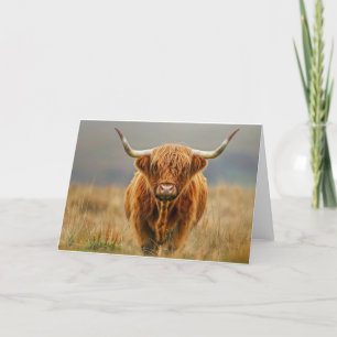 Remerciements Carte blanche de vache Highland