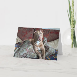 Remerciements Carte d'amour de Pitbull