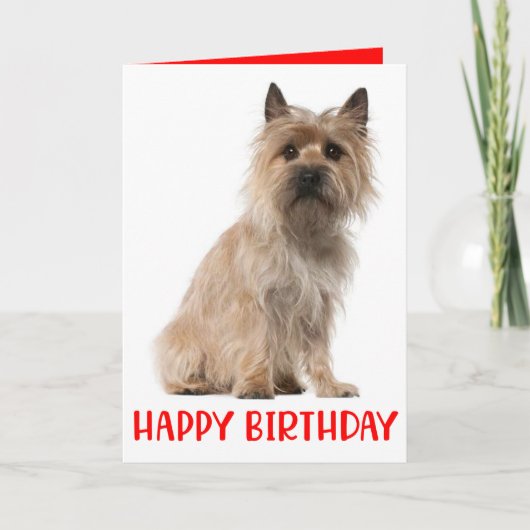Remerciements Carte d'anniversaire du Chien Terrier de Cairn (Devant)