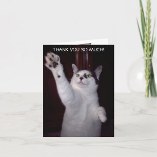 REMERCIEMENTS CARTE DE CHAT DE CHAT