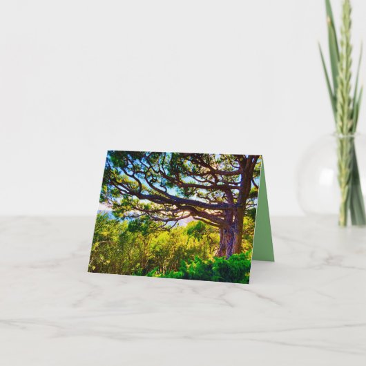 Remerciements Carte de la Cachette de l'Arbre (Devant)