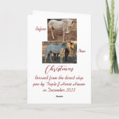 Remerciements Carte de Noël (Dos)