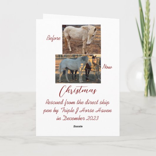 Remerciements Carte de Noël (Dos)