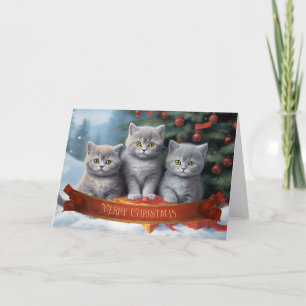 Remerciements Carte de noël des chatons courts britanniques