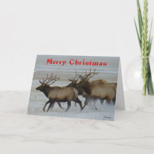 Remerciements Carte de Noël E64 Élan mâle courant
