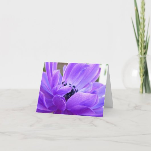 Remerciements Carte de note Anémonique Violet Springtime (Devant)