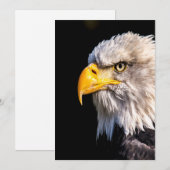 Remerciements Carte de note blanche du profil d'aigle à tête bla (Devant / Derrière)