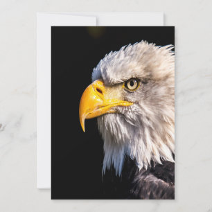 Remerciements Carte de note blanche du profil d'aigle à tête bla
