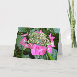 Remerciements Carte de note blanche Hydrangea en floraison