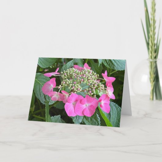 Remerciements Carte de note blanche Hydrangea en floraison (Devant)