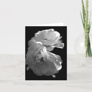 Remerciements Carte de note blanche Sympathie Roses blanches sau