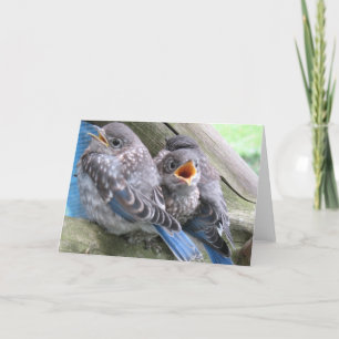 Remerciements Carte de note Bluebird