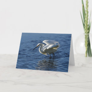 Remerciements Carte de note climatique Nature