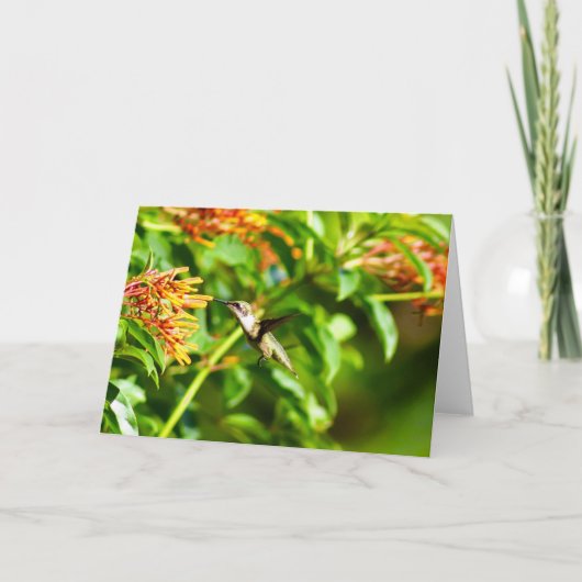 Remerciements Carte de note de colibri<Blank Inside> (Devant)