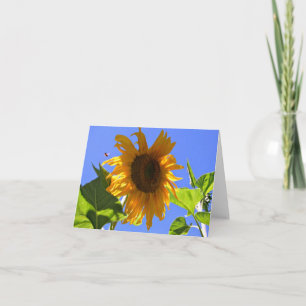 Remerciements Carte de note d'été pour le tournesol jaune et l'a