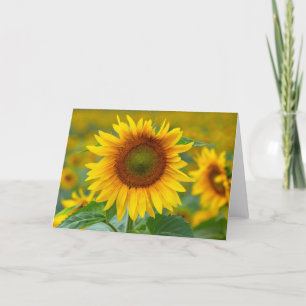 Remerciements Carte de note en blanc de tournesol