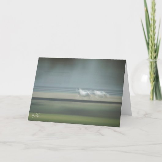 Remerciements Carte de note Illusions équines (Devant)