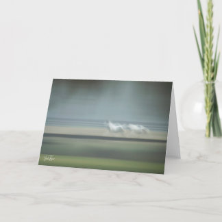 Remerciements Carte de note Illusions équines