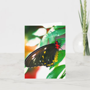 Remerciements Carte de note personnalisable Black Butterfly Natu