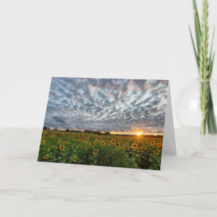 Remerciements Carte de note sur le coucher de soleil de tourneso
