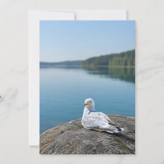 Remerciements Carte de photographie de mouette, cadeau de nature
