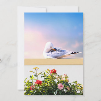 Remerciements Carte de photographie de mouette, cadeau de nature