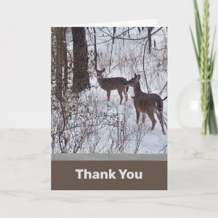 Remerciements Carte de remerciement avec photo de cerfs dans la