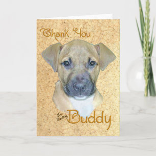 Remerciements Carte de remerciement Buddy