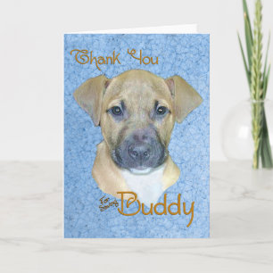Remerciements Carte de remerciement Buddy