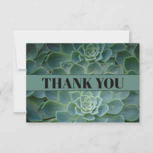Remerciements Carte de remerciement Cactus vert / Succulentes
