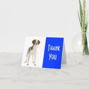 Remerciements Carte de remerciement Chien chiot Brittany Spaniel