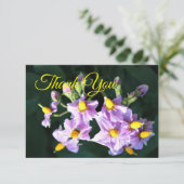 Remerciements Carte de remerciement Fleur de pomme de terre viol (Debout devant)