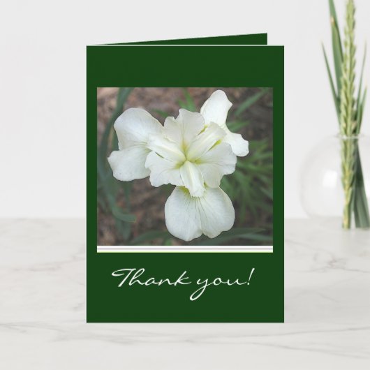 Remerciements Carte de remerciement Iris blanc (Devant)