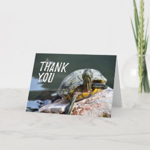 Remerciements Carte de remerciement photo de tortue adorable