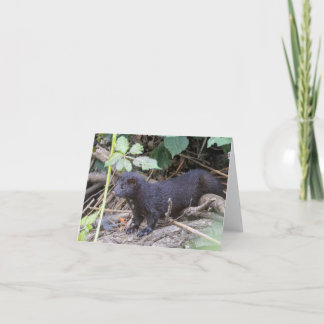 Remerciements Carte de remerciement pliée