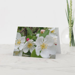 Remerciements Carte de remerciement pliée Cherry Blossom Surpris