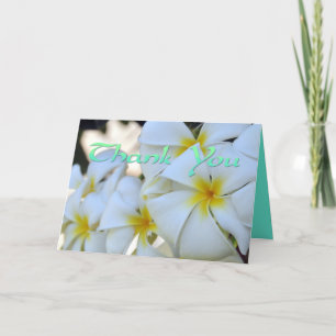 Remerciements Carte de remerciement Plumeria Tropical