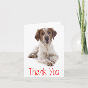Remerciements Carte de remerciement pour chiot Brittany Spaniel