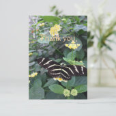 Remerciements Carte de remerciement Zebra Longwing (Debout devant)