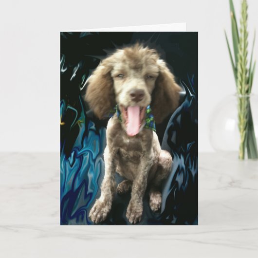 REMERCIEMENTS CARTE DE REMERCIEMENTS, DRÔLE (Devant)