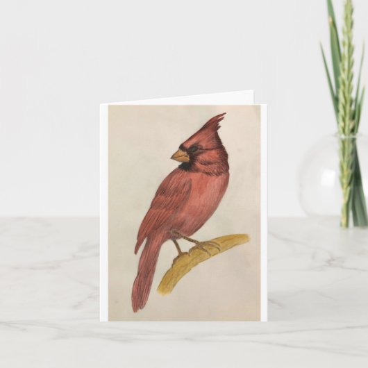 Remerciements Carte de voeux avec une peinture d'un cardinal (Devant)