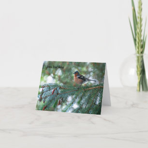 Remerciements Carte de voeux Chaffinch bird