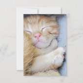 Remerciements Carte de vœux - Chatons endormis (Devant)