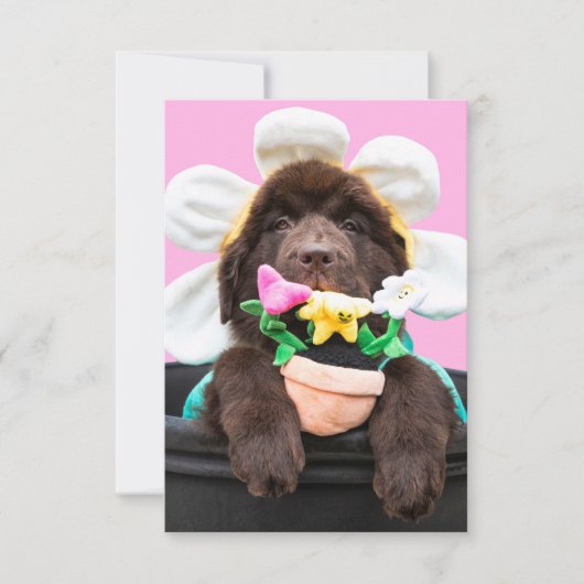 Remerciements Carte de vœux chiot dans un pot de fleurs 2 (Devant)