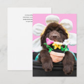 Remerciements Carte de vœux chiot dans un pot de fleurs 2 (Devant / Derrière)