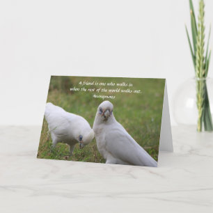 Remerciements Carte de voeux Corella Friendship Quote