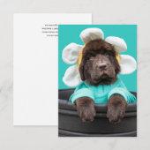 Remerciements Carte de vœux de chiot dans un pot de fleurs (Devant / Derrière)