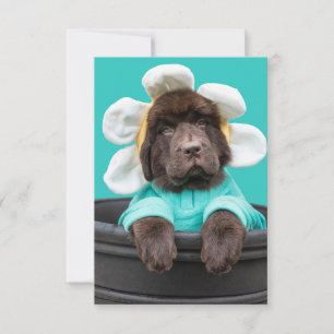 Remerciements Carte de vœux de chiot dans un pot de fleurs